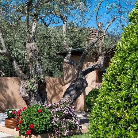 Elichrison Apartament