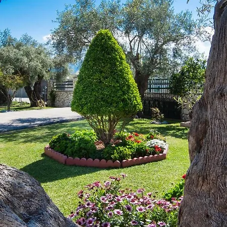 Apartament Elichrison *