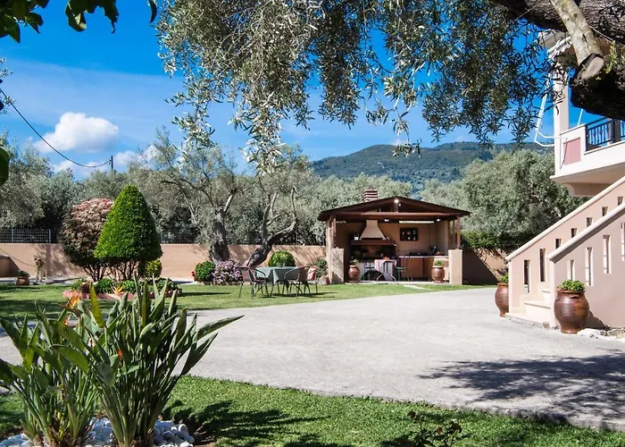 Elichrison * Лигия