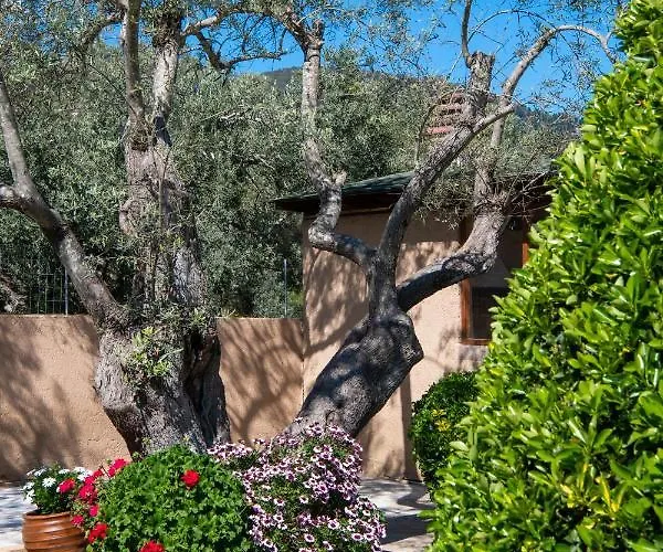 Elichrison Апартаменты