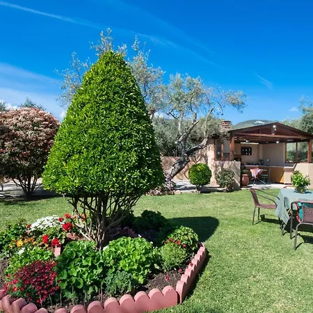 Elichrison * Лигия